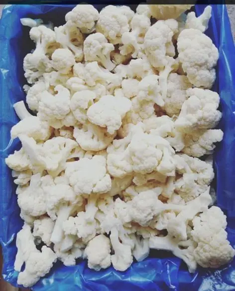 CAULIFLOWER FROZEN - EGCT - 10 KG