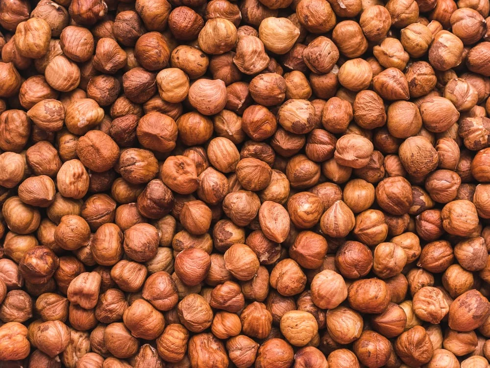 HAZELNUTS RAW NO SHELL - DRYFO