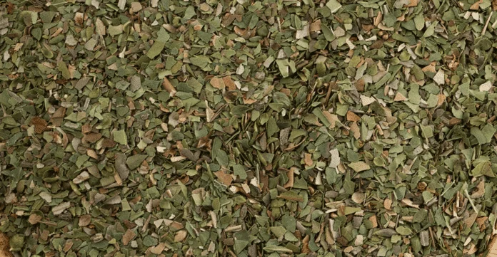 OREGANO DRY - Dryfo