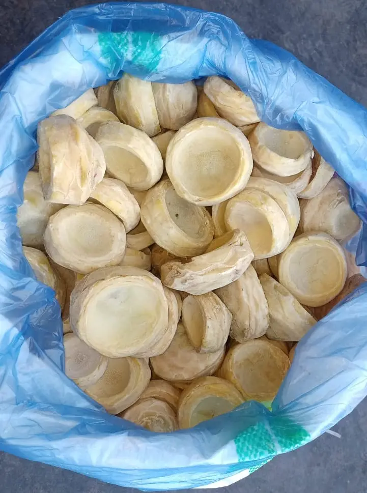 POTATO BLANCHED 3/8'' IQF - EGCT