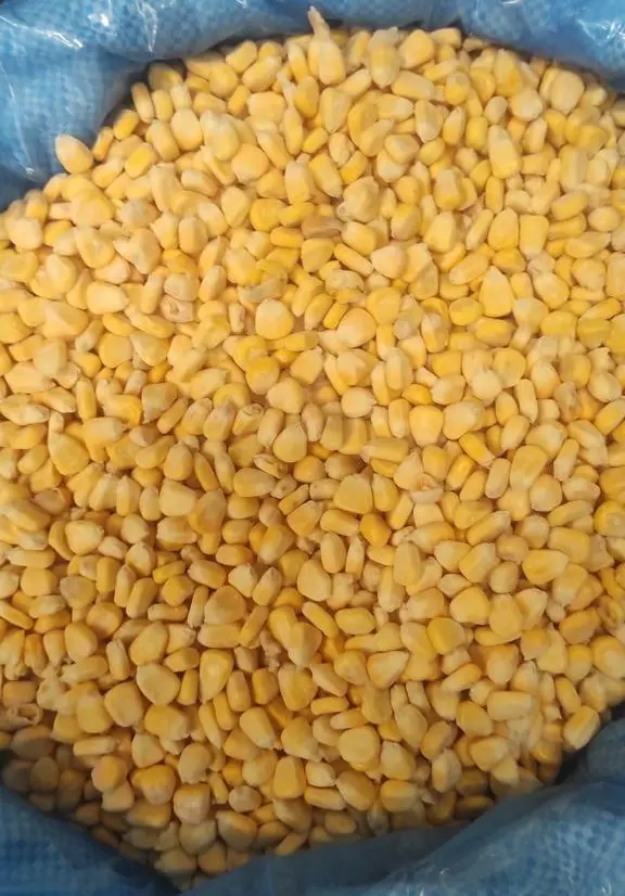 SWEET CORN KERNEL IQF - EGCT