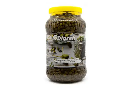 CAPERS IN BRINE - DIGREK - 3 KG