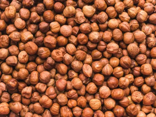 HAZELNUTS RAW NO SHELL - DRYFO - 5 KG