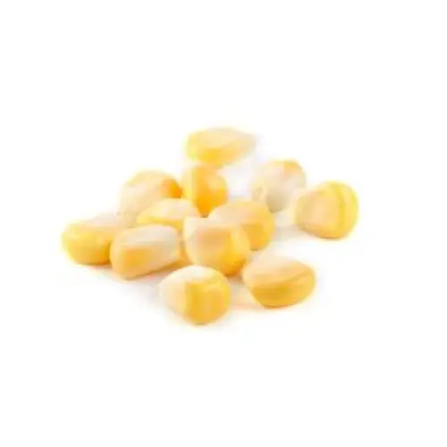 POPCORN RAW - ALMANDA