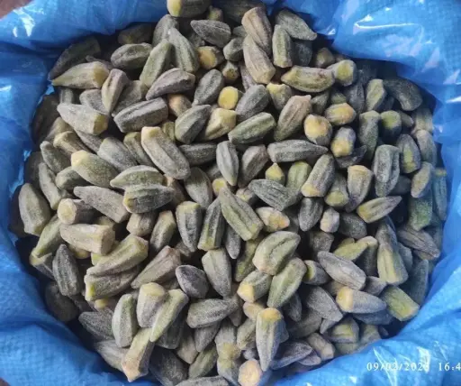 OKRA ZERO - EGCTEG - 10 KG